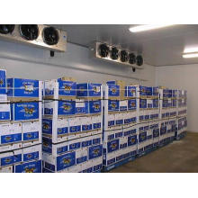 Yuyan Refrigeration Cold Room Cold Storage Size Customised